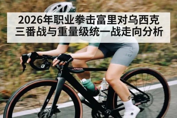 2026年职业拳击富里对乌西克三番战与重量级统一战走向分析
